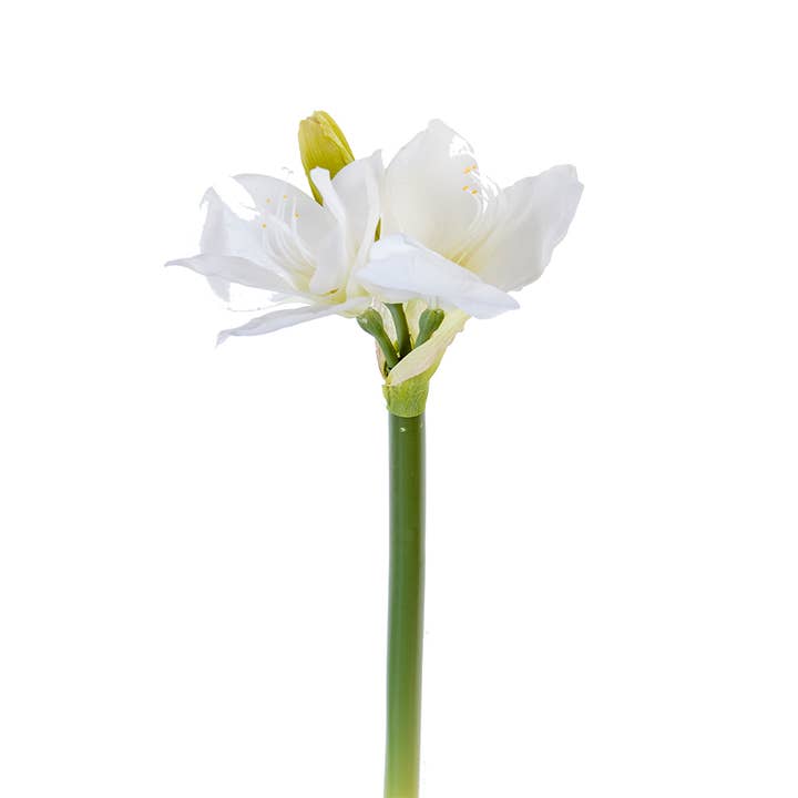 American Best - Wholesale Artificial Flowers - 23.5" REAL TOUCH AMARYLLIS SPRAY