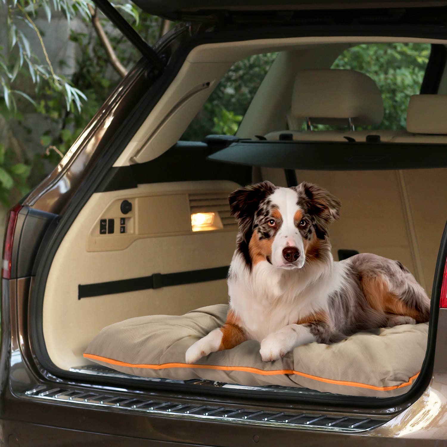 Precious Tails - Vente Panier – chien - Lit pour animal domestique Precious Tails « Go Anywhere » résistant à l'eau et aux mastications15