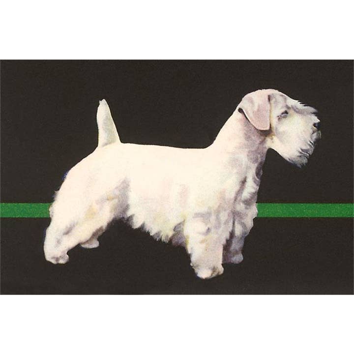 Postkarte DG-110 Sealyham Terrier für den Großhandel von Found Image Press