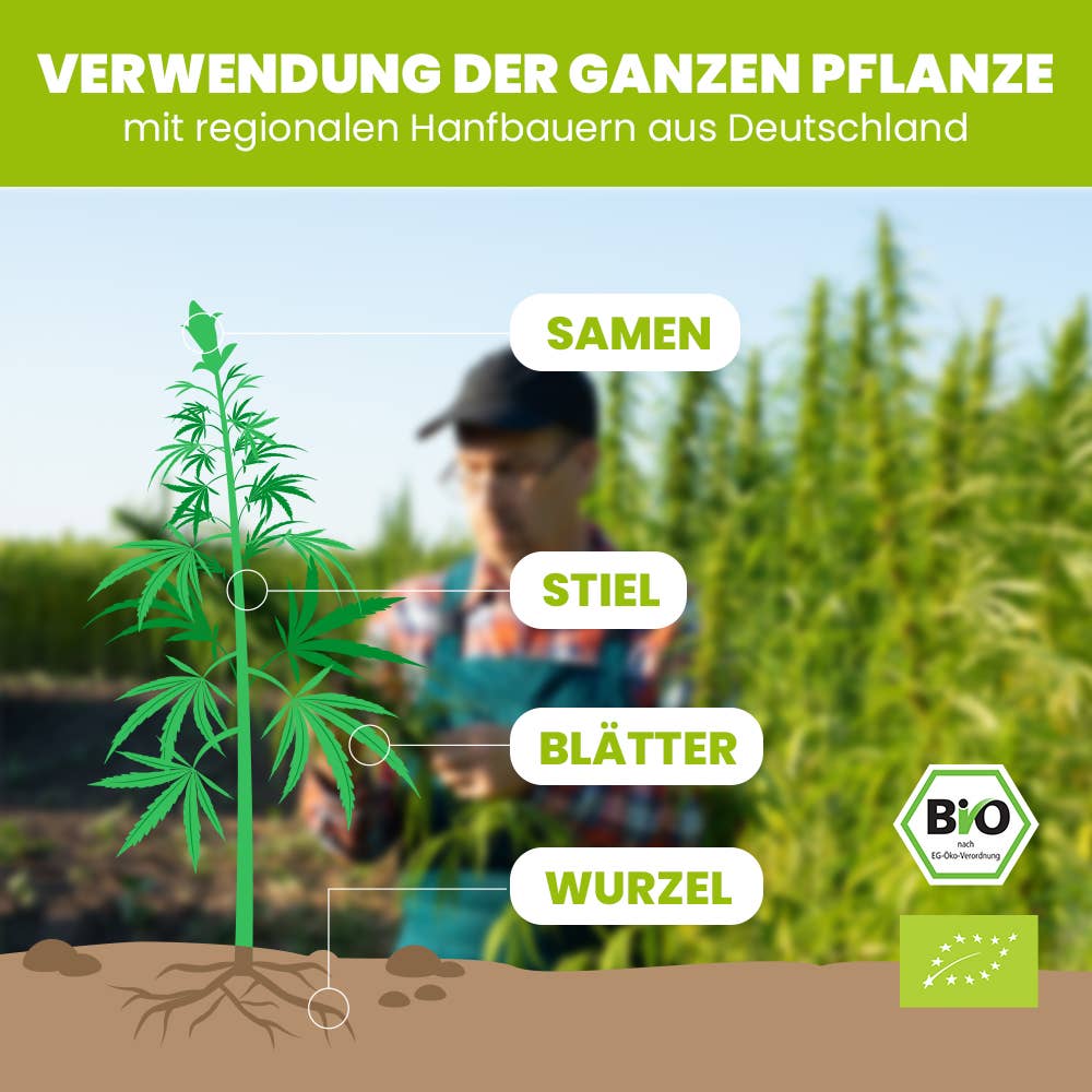 SANUUS® Better Living – Engroshandel Plantefrø – SANUUS økologiske hampfrø skrællet uden THC/CBD0