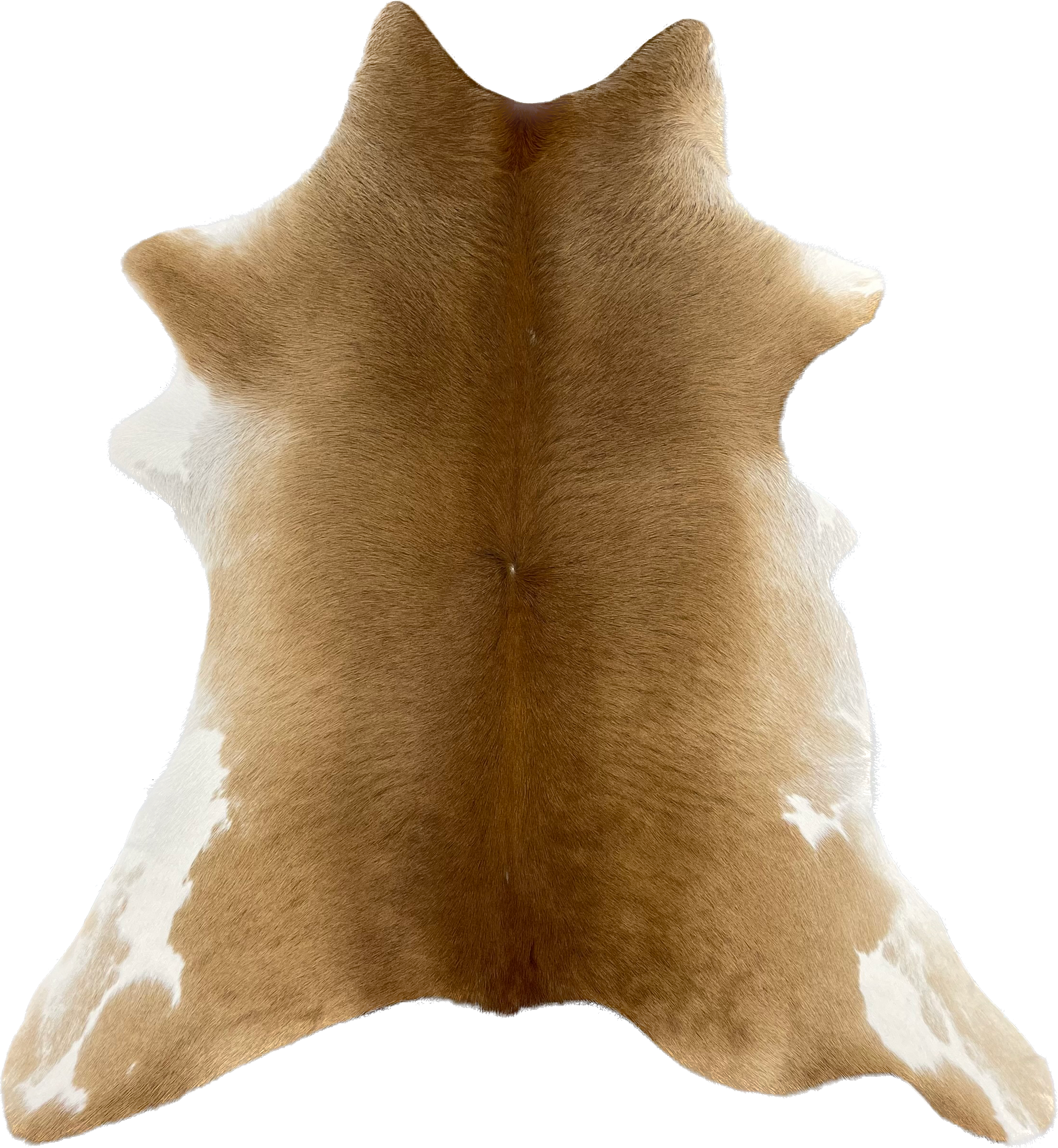 Chesterfield Leather – wholesale Matta – Brasilianskt kalvskinn med hår8