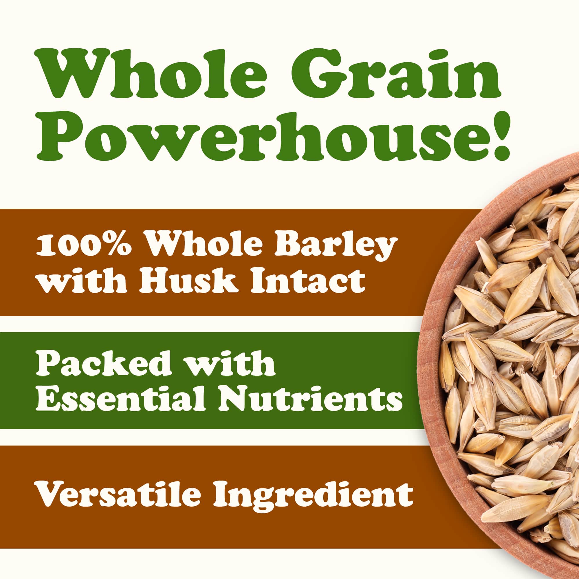 Food To Live - Wholesale Whole Grains - Organic Whole Unhulled Barley - Non-GMO, 100% Natural, Raw4
