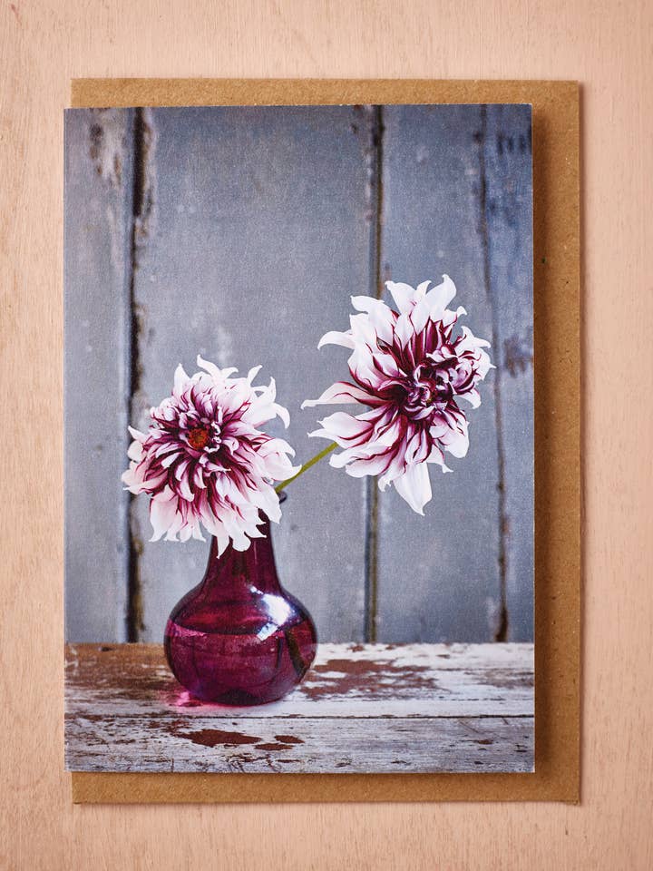 'Dahlia Tartan' Greetings Card for wholesale by Jane Scott Flowers