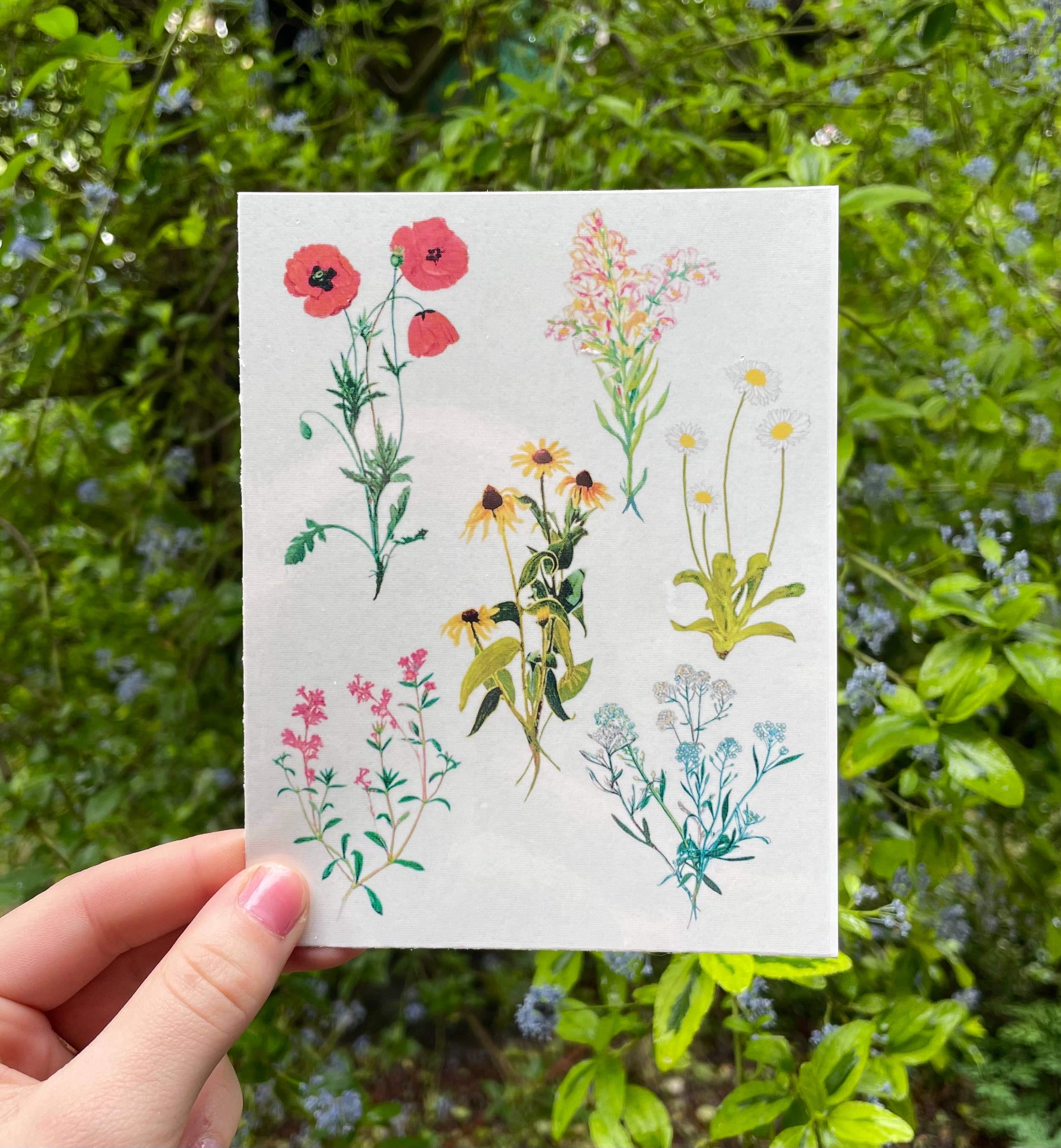 Appree Sweet alyssum press flower deco sticker | paper crafts