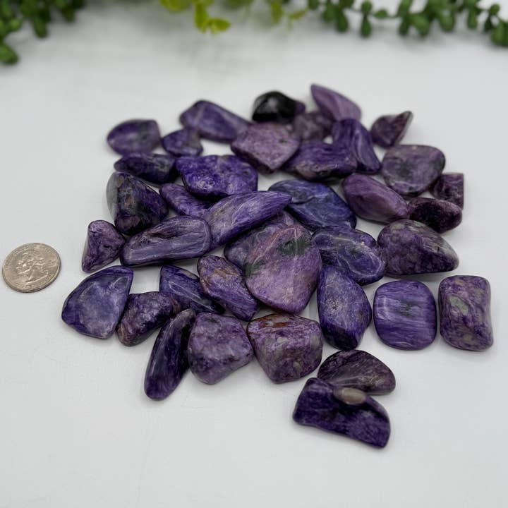Meraki Gemstones - Wholesale Spiritual Stone/Crystal - Charoite Tumbled Gemstones - 25-35mm (0.5kg/1.1lbs)