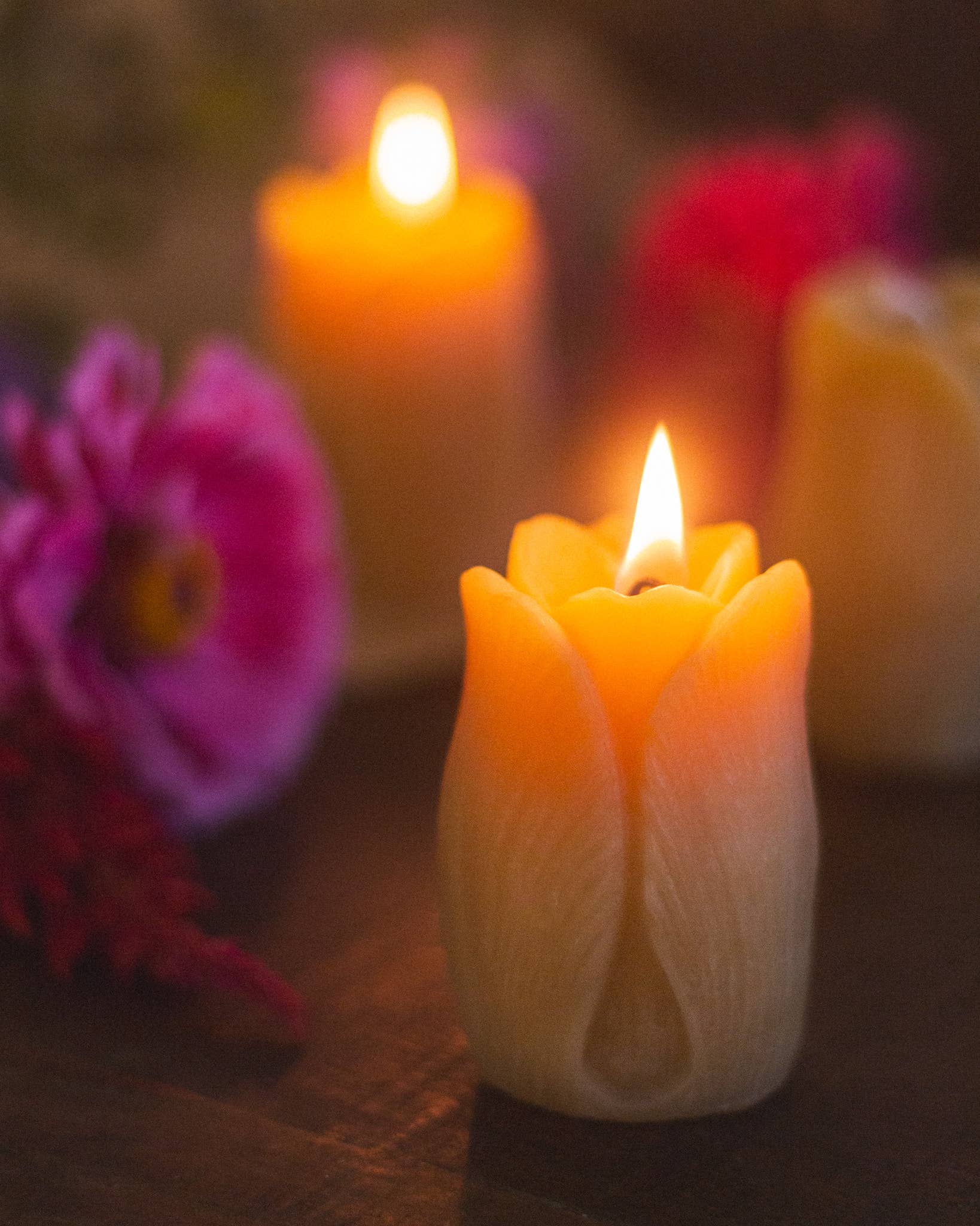 The Ramblin' Bee - Wholesale Novelty Candle - Tulip Shaped Beeswax Candle2