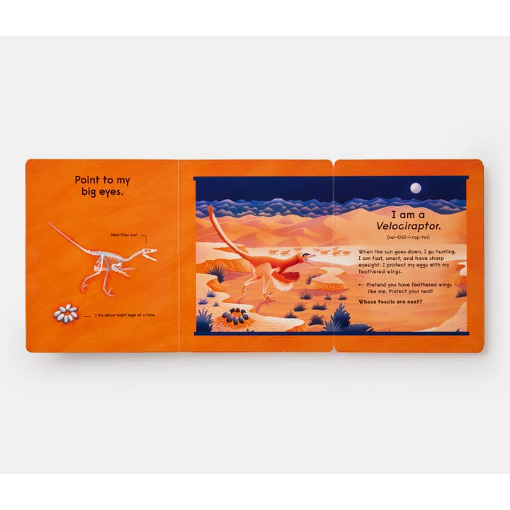 Phaidon - Wholesale Fantasy - Who's That Dinosaur?4