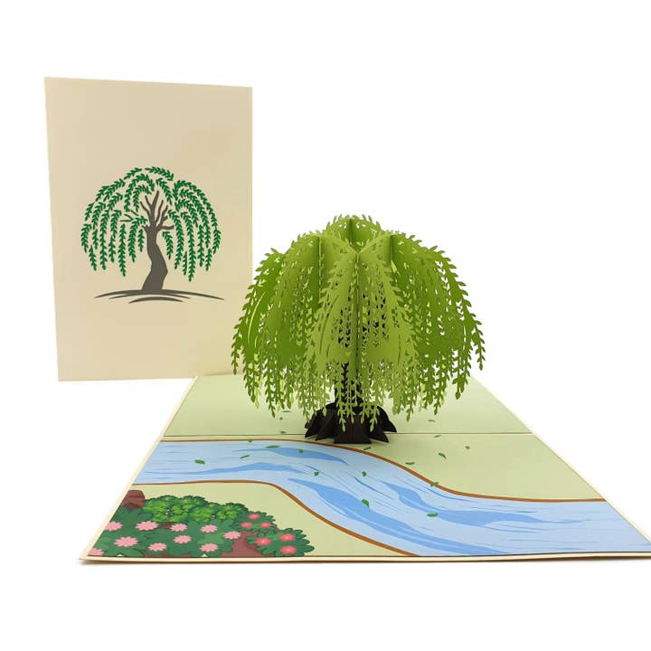 Color Pop Cards - Wholesale Everyday Greeting Card - Willow Tree 3D Pop Up Card