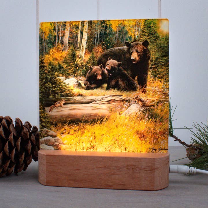 Bear Family LED Nightlight for wholesale by Glow Decor