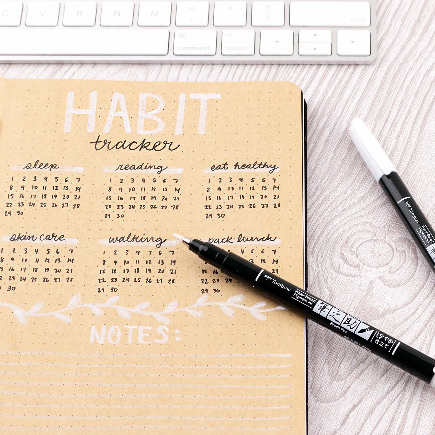 Tombow - Vente Stylos - Lot de 2 stylos Fudenosuke, blancs6