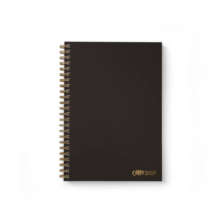 Pukka Pads North America - Wholesale Notebook - Carpe Diem B5 Hardcover Notebook