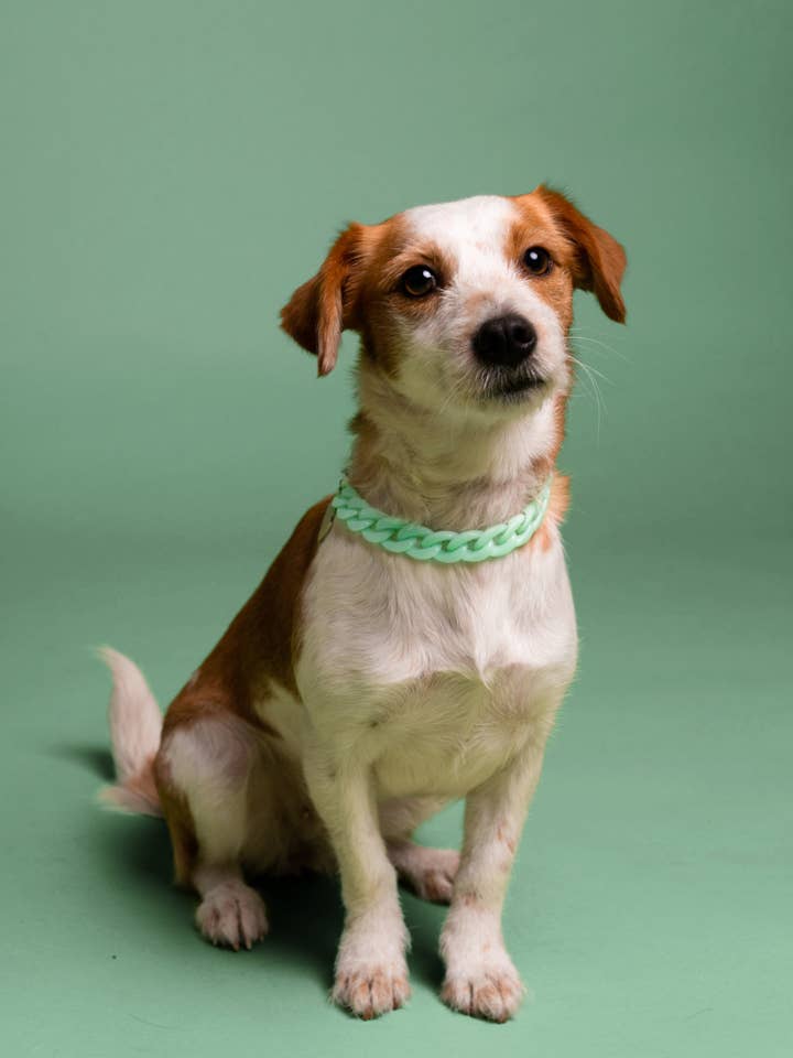 PANZERKETTE AUS HARZ für den Großhandel von BAND OF HEARTBREAKERS