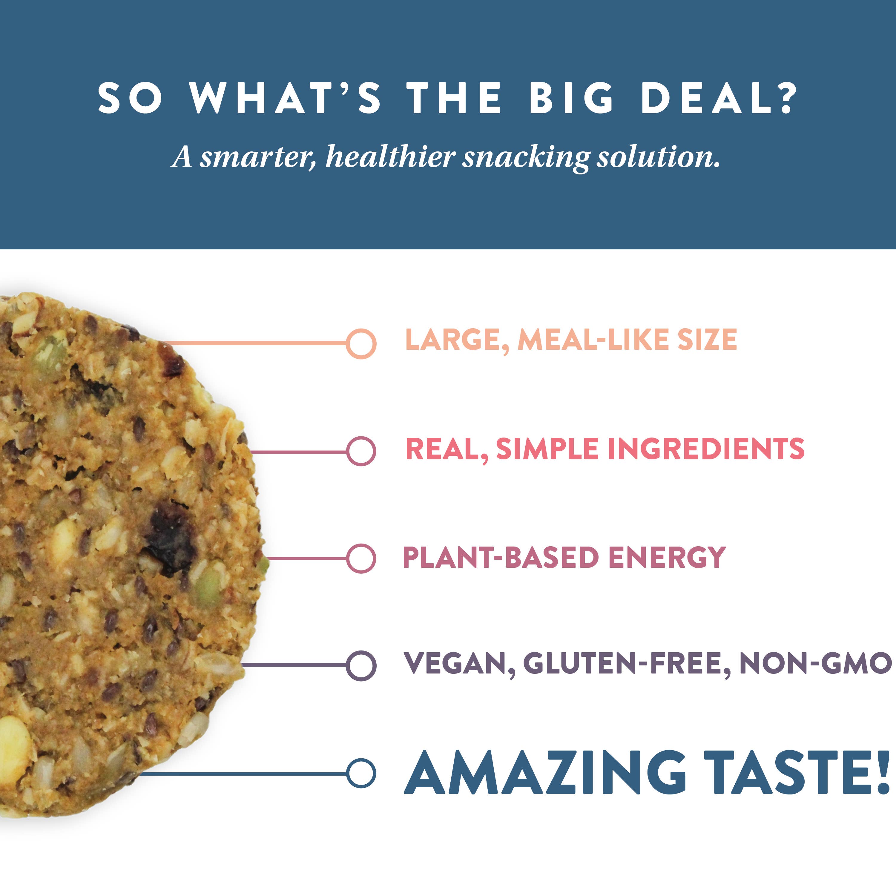 Protein Puck - Wholesale Snack Bar - Wanderlust (Peanut Butter, Cranberry) (16 - 3.25oz Bars)6