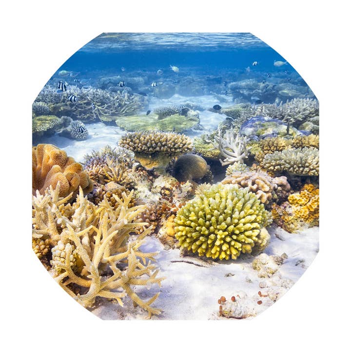 Under the Sea Vinyl Tuff Tray Play Mat for wholesale by MEKA