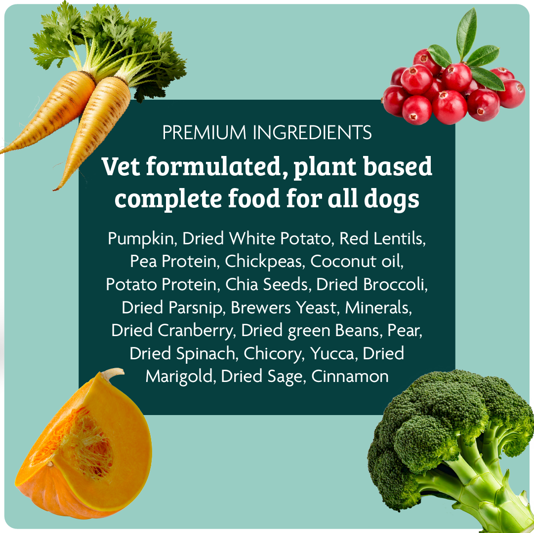 Omni - Vendita all'ingrosso Cibo - Cani - Revitalising Roast cibo completo per cani adulti5