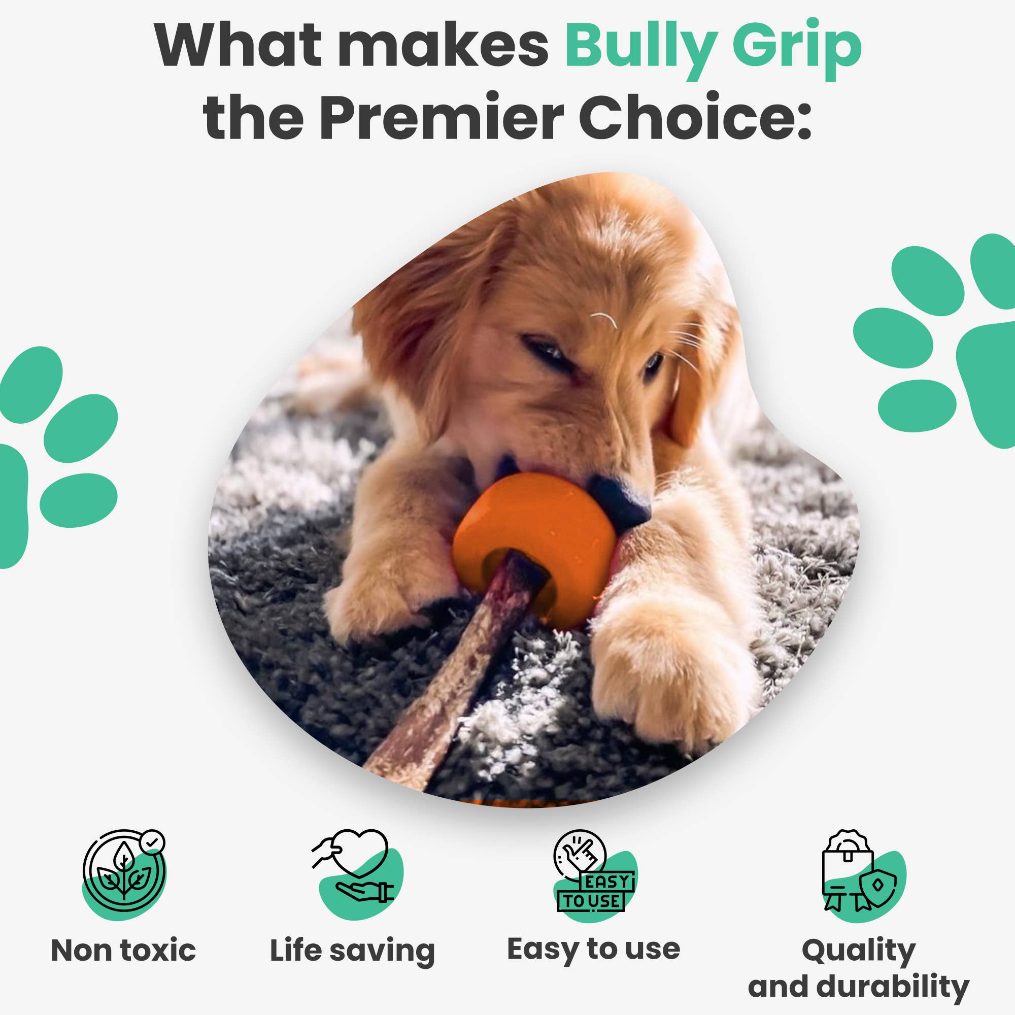 Bully Grip - Wholesale Pet Chew Toy - Dog - BullyGrip Classic Medium3