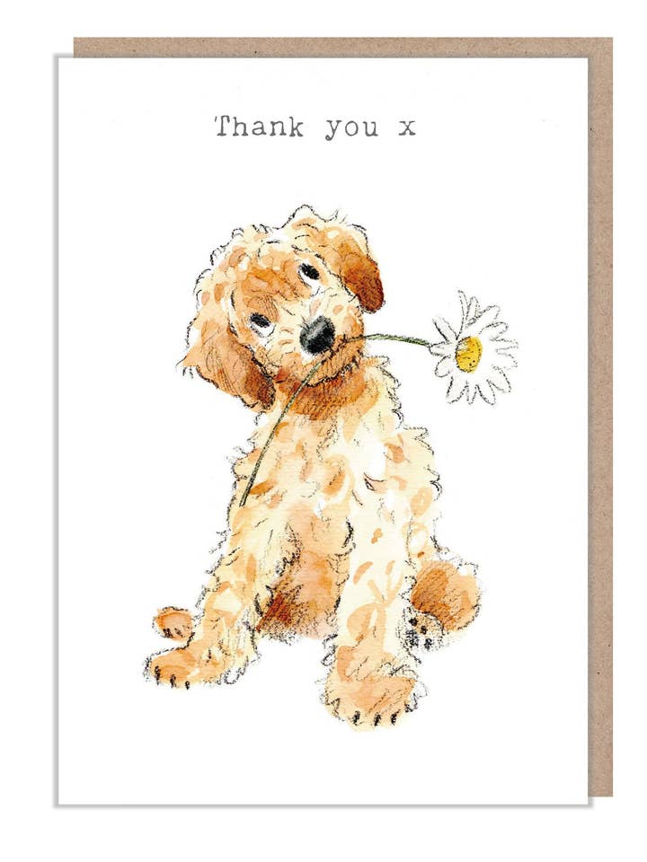 Cute Dog Card - Thank You - Cockapoo With Daisy for wholesale by Paper Shed Design Ltd