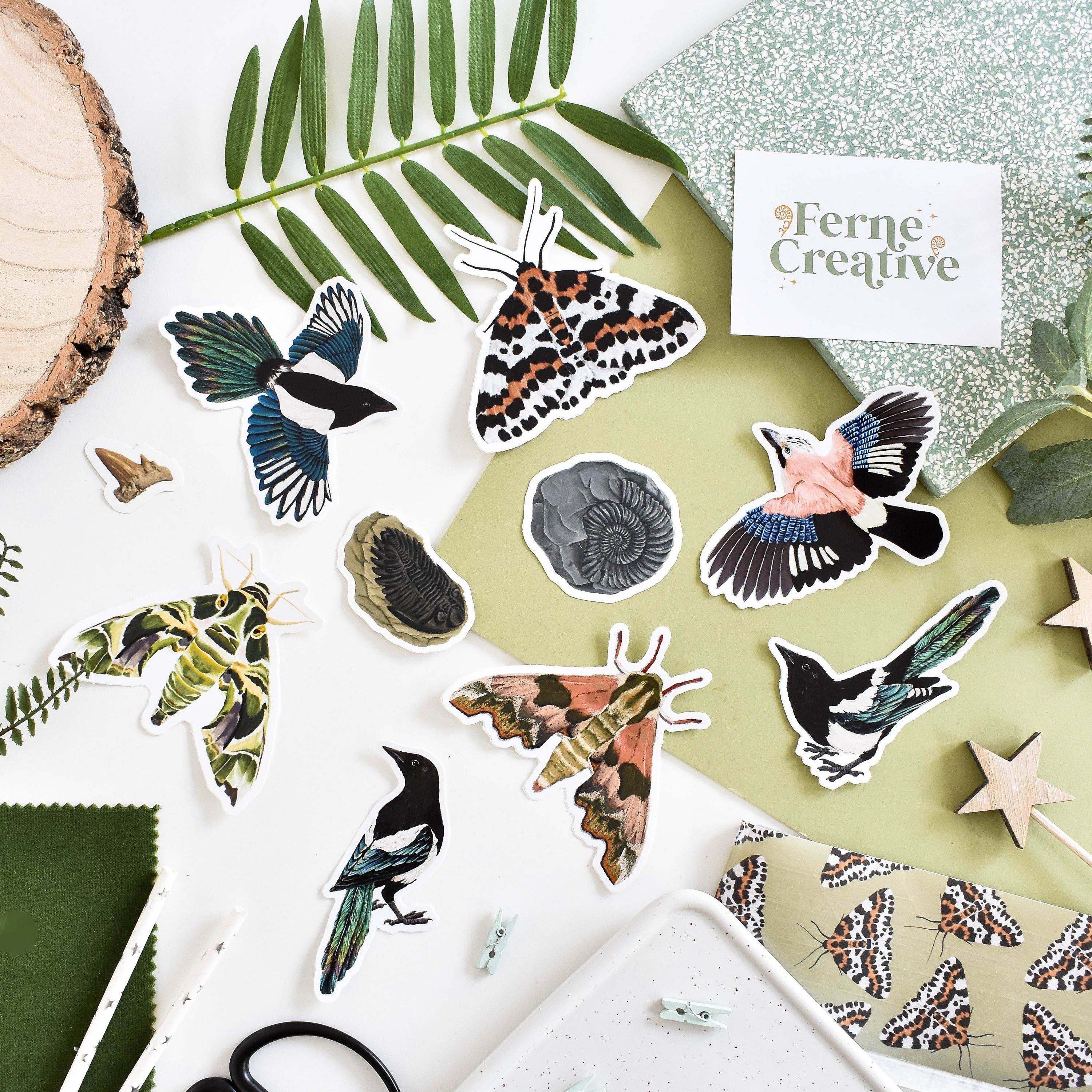 Ferne Creative – wholesale Sticker – Flying Magpie Vinyl Sticker4