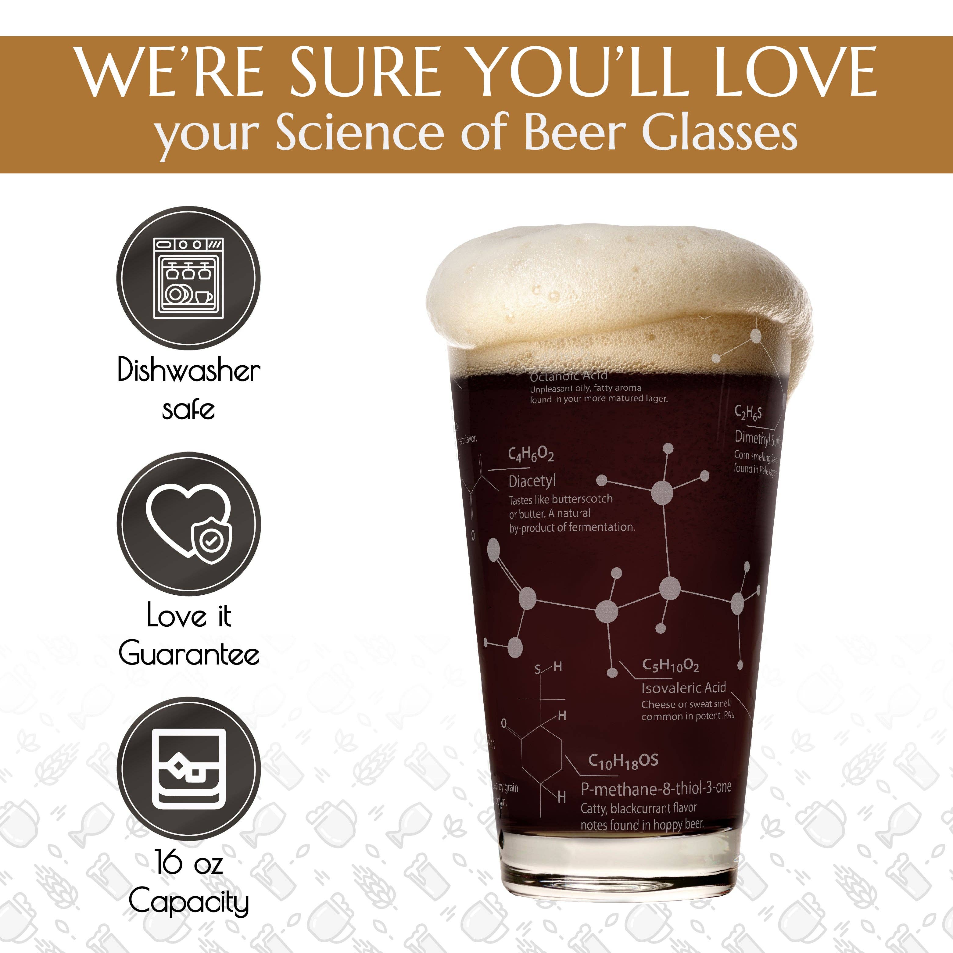 Greenline Goods - Wholesale Beer Glass/Mug - Science of Beer Etched Beer Glass2