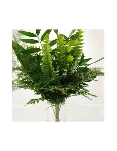 Florasource - Wholesale Fresh Cut Flowers - Greenery "drop in" Bouquets MEDIUM 5 / 10 / 15 / 20 bunches1