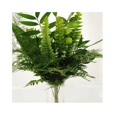 Florasource - Wholesale Fresh Cut Flowers - Greenery "drop in" Bouquets MEDIUM 5 / 10 / 15 / 20 bunches1