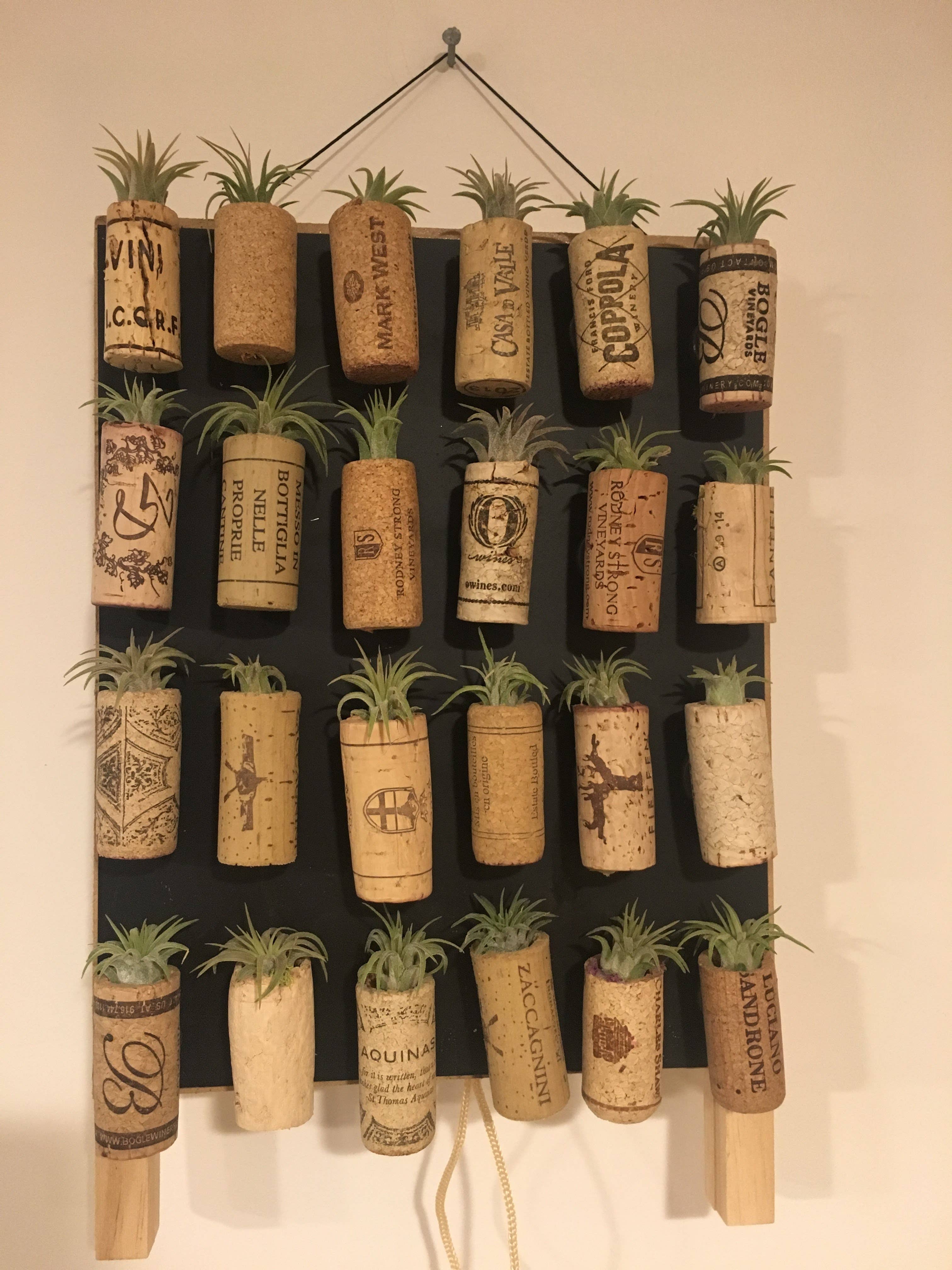 The Simply Crafty Shop - Wholesale Magnet - Magnetic Wine/ Champagne Cork Air Plant Holder9