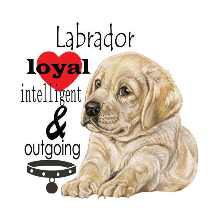 Fridge Magnet - Blonde Labrador with Text for wholesale by Animal Prints