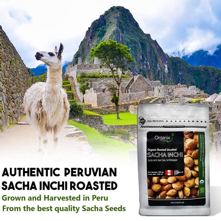 Ganesa Trading - Wholesale Nuts - Organic Sacha Inchi Seeds from Peru, USDA1