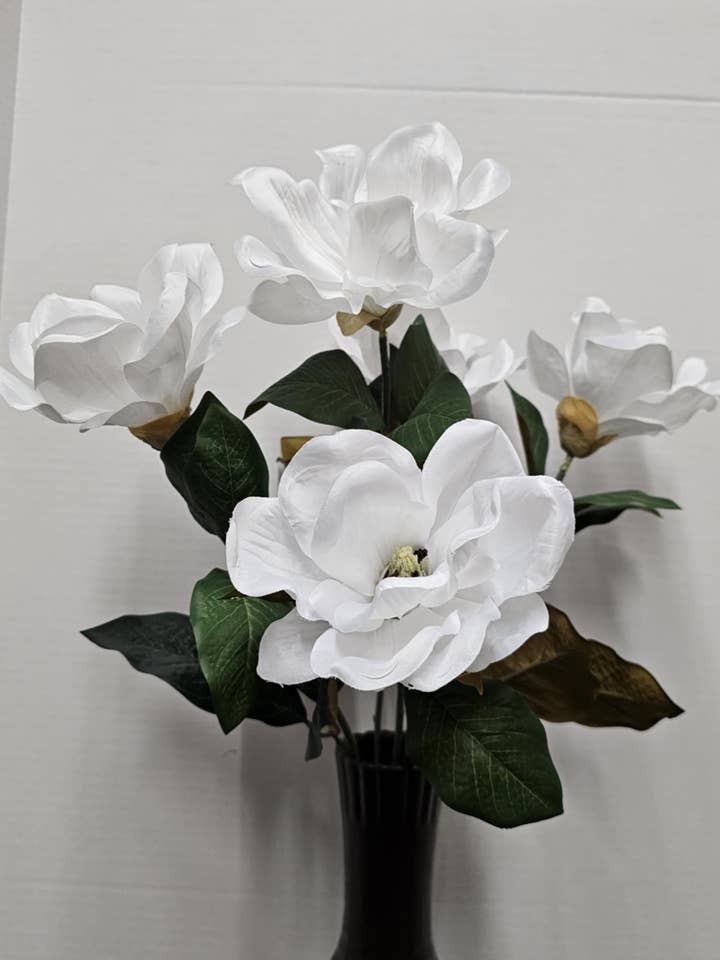 Magnolia Bush for wholesale by Gary's Wholesale