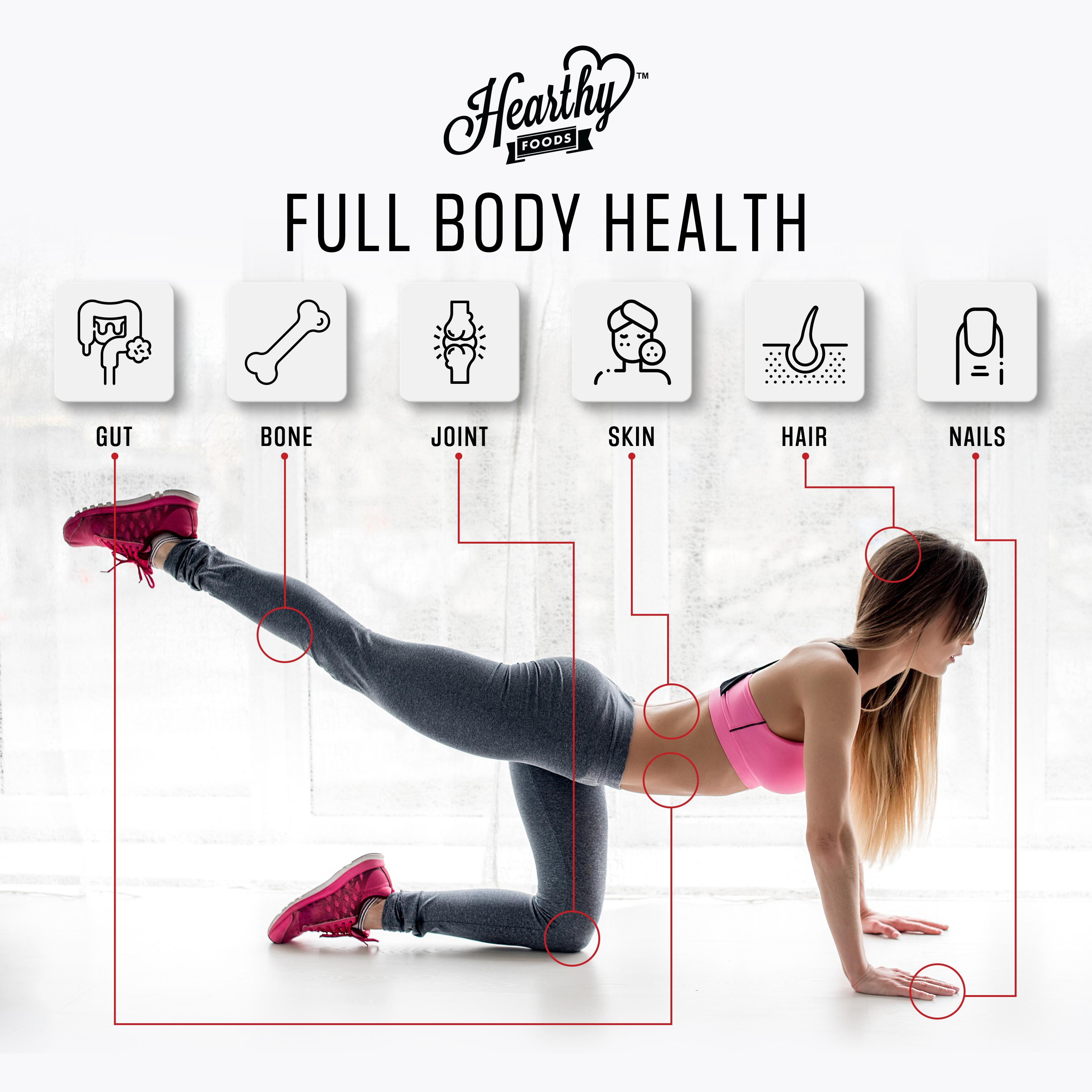 Hearthy Foods - Wholesale Protein/Superfood Powder - Collagen Grass-Fed Type I and Type III6