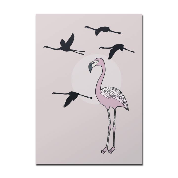 Carte postale Flamingo pour la vente par Rotberta
