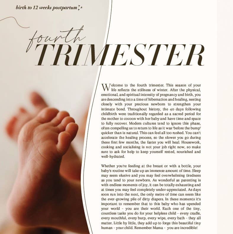 Cardinal Publishers Group - Wholesale Journal/Diary - Maternity - becoming Mama3