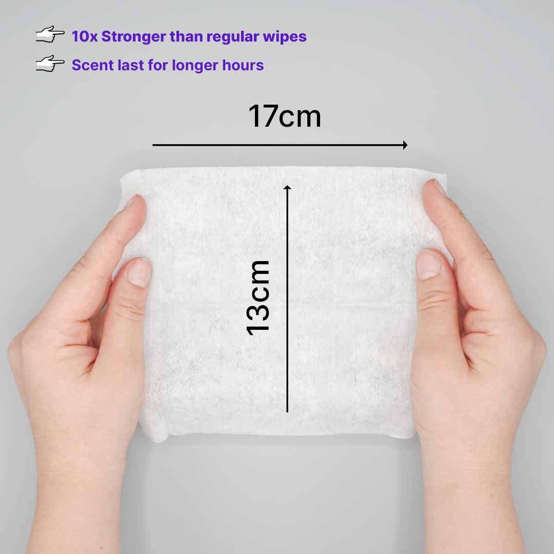 Kasara Atelier - Wholesale Face & Body Wipes - 60 Scented wipes mix box pink6