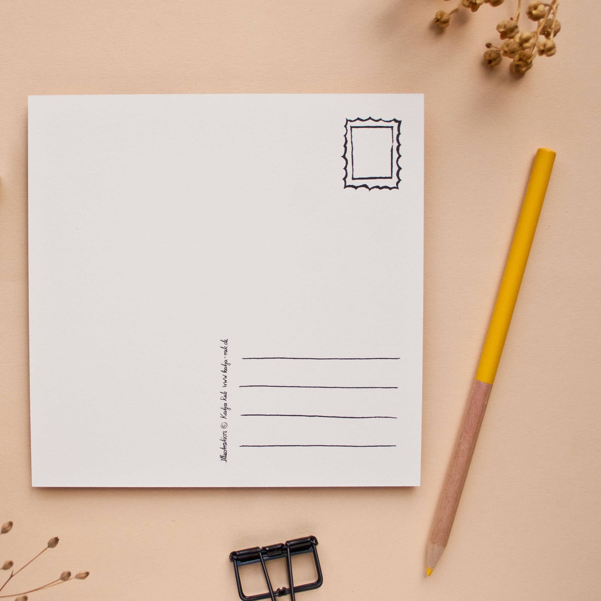 Katja Rub - Wholesale Postcard - Postcard Camel1