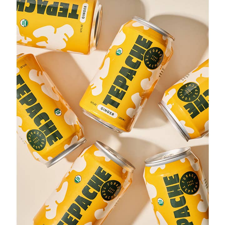 Forage Kombucha - Wholesale Kombucha - Ginger Tepache1