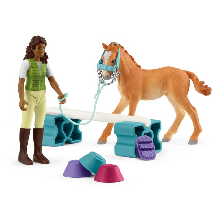 Training set for foal & Sarah for wholesale by Schleich