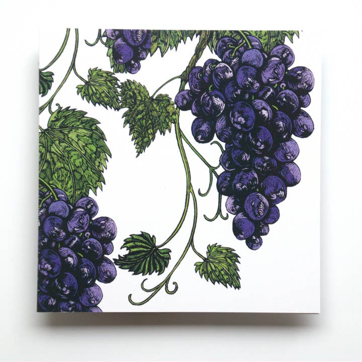 Branco Floral Cartão de Saudação - Uva Vinha por atacado de Rachel Meehan, pictures and words...