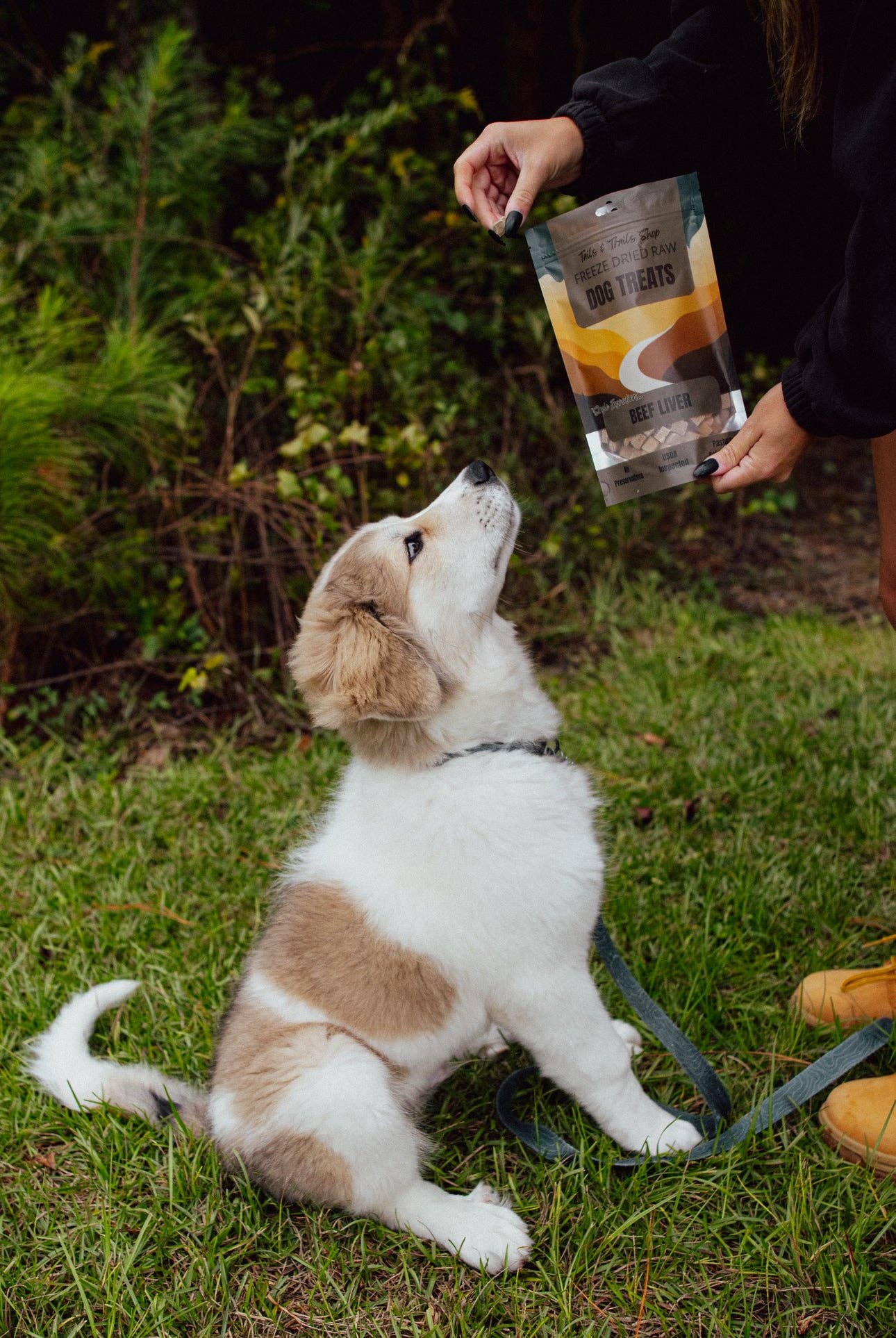 Tails and Trails - Vendita all'ingrosso Snack - Cani - LECCORNIE DI FEGATO DI MANZO LIOFILIZZATO3