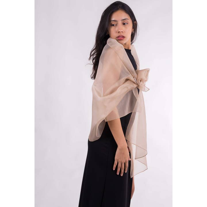 MR Complements - Venta al por mayor Chal - Mujer - Chal de Organza Seda Natural6