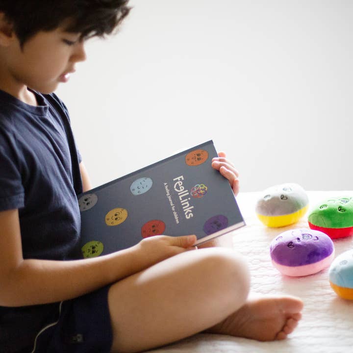 FeelLinks - Wholesale Journal/Diary - Kids - FeelLinks Emotion Set | SEL Tools & Feelings Journal5