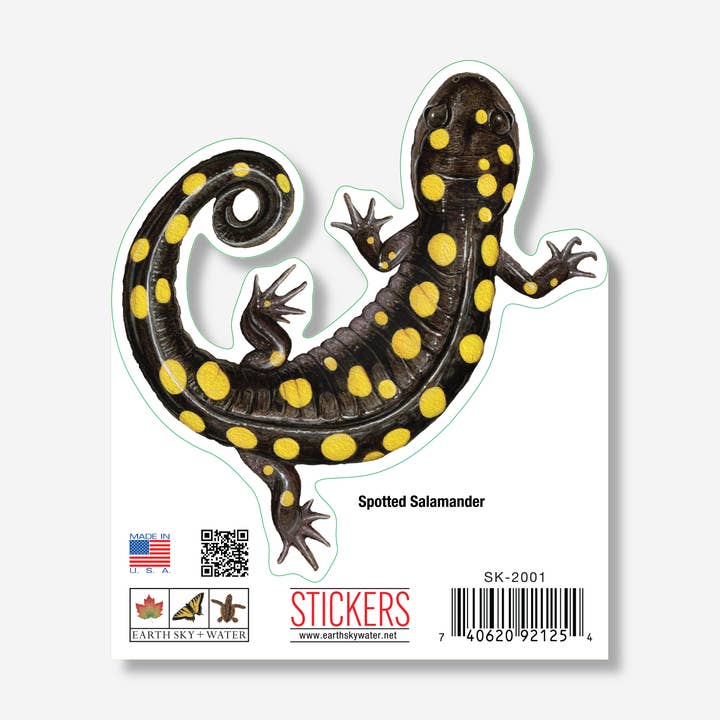 Earth Sky + Water - Wholesale Sticker - Spotted Salamander Nature Nature Sticker, 3.5" wide