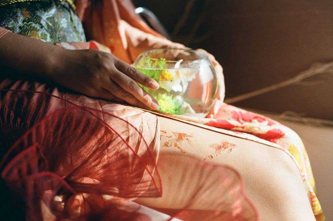 PAPERSELF – Engroshandel Midlertidig tatovering – Guldfisk 2 Midlertidig tatovering klistermærke9