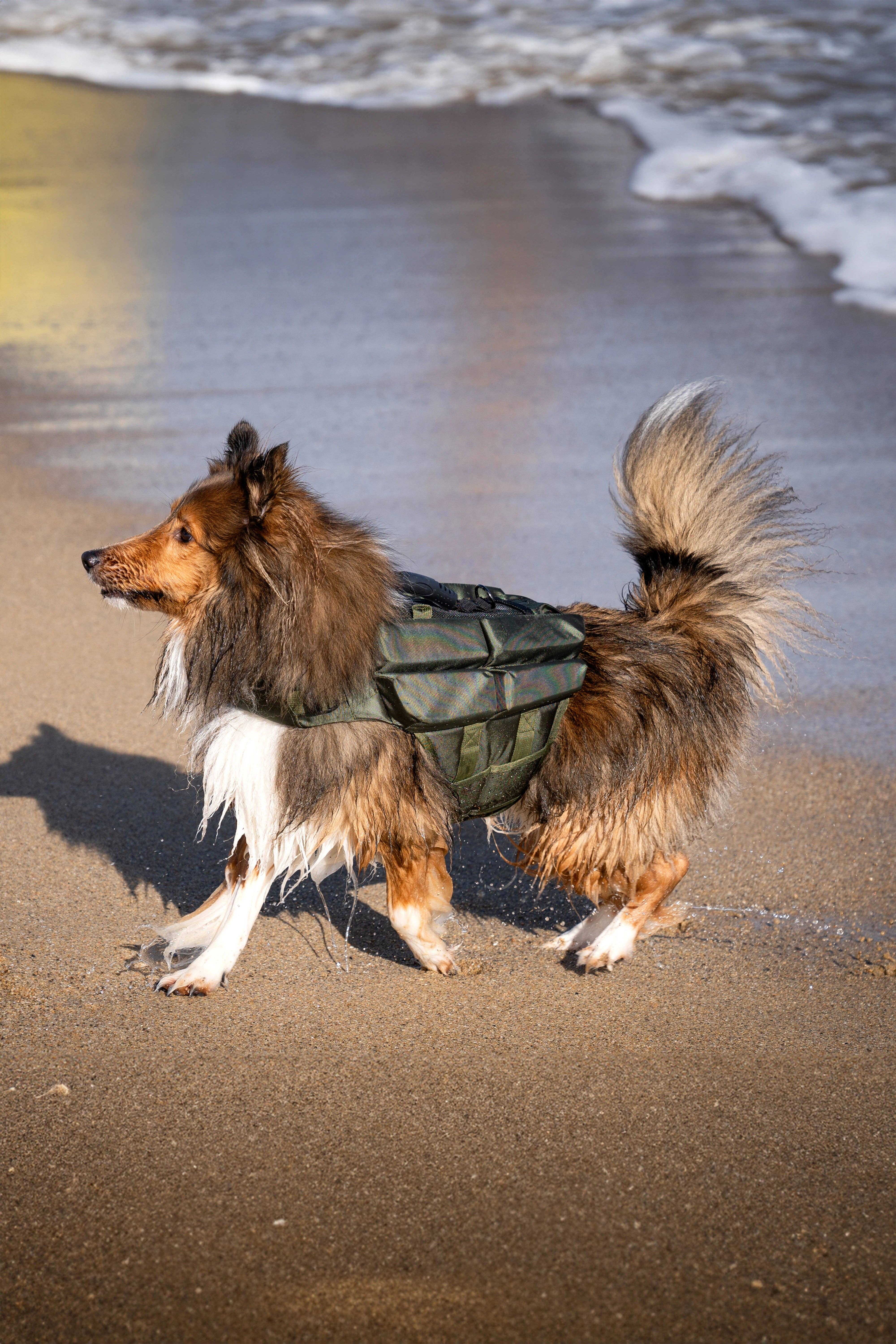 NOAH AND PAW LLC - Wholesale Pet Jacket - Dog - Human Standards Dog Lifejacket Design with 4x Foam Support for Max Floating - Green10