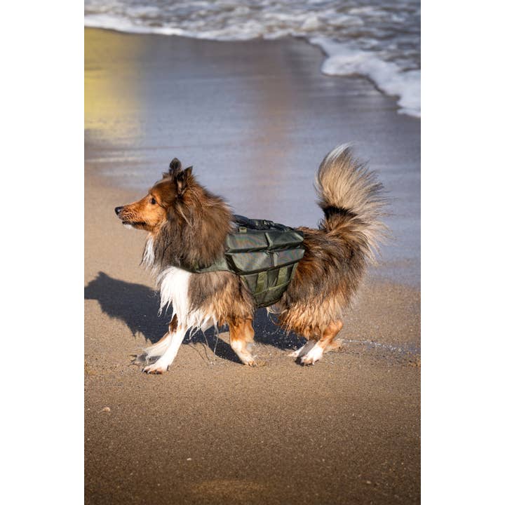 NOAH AND PAW LLC - Vente Veste – chien - Gilet de sauvetage pour chien NOAH AND PAW avec 4 mousses flottantes - Vert10