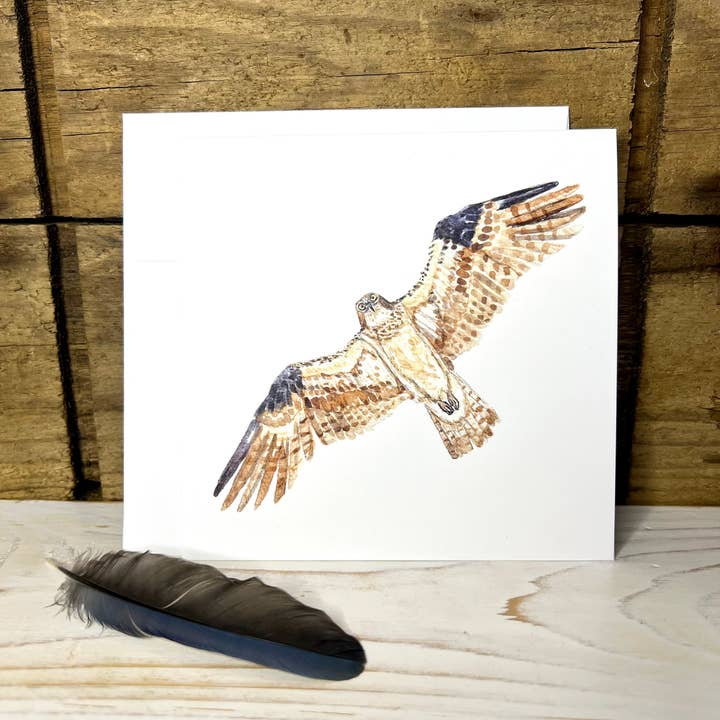Osprey (blank): Watercolor Series Art Card for wholesale by Dark Fox Creative