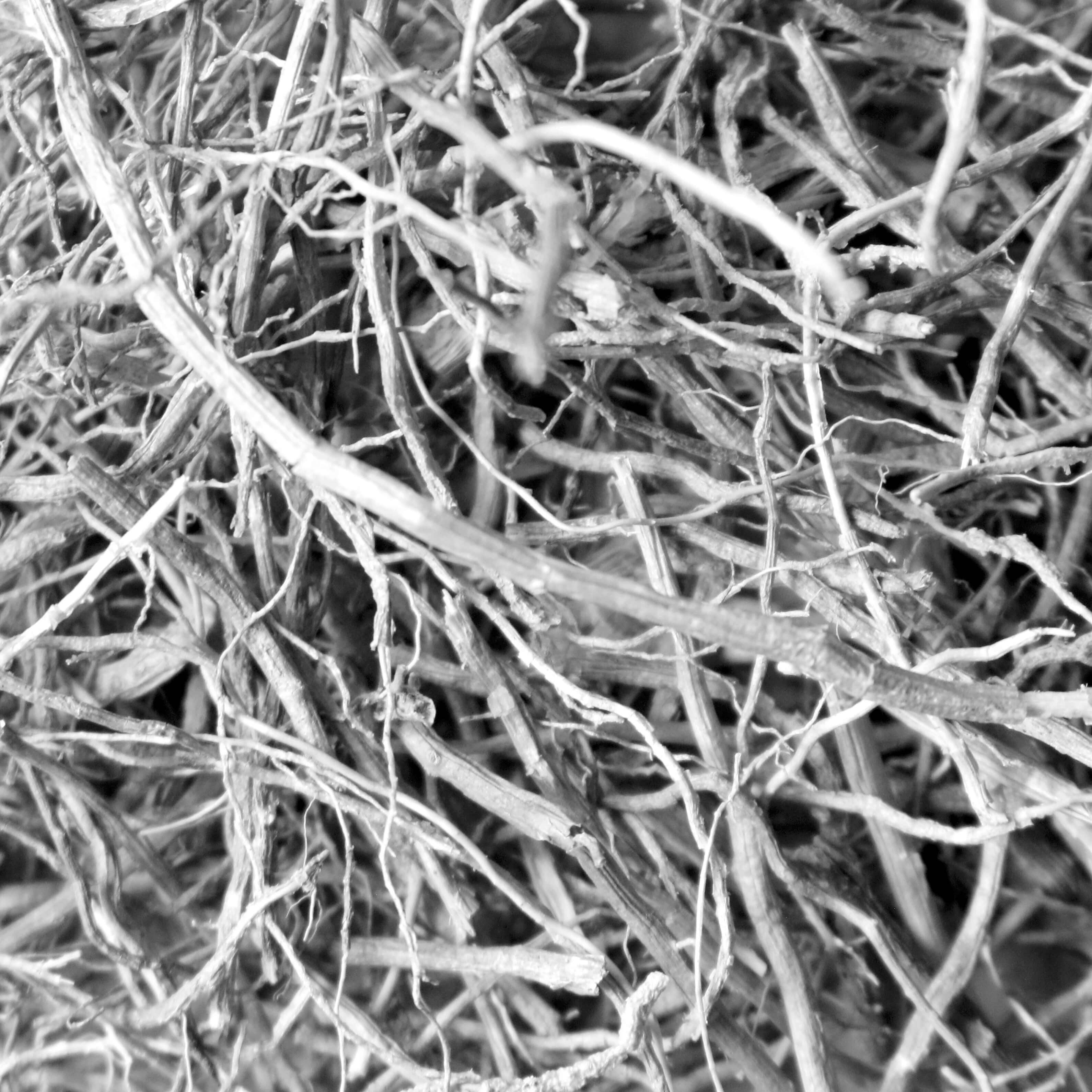 MIZU - Wholesale Jar/Filled Candle - Vetiver Smoke Essential Oil Candle1