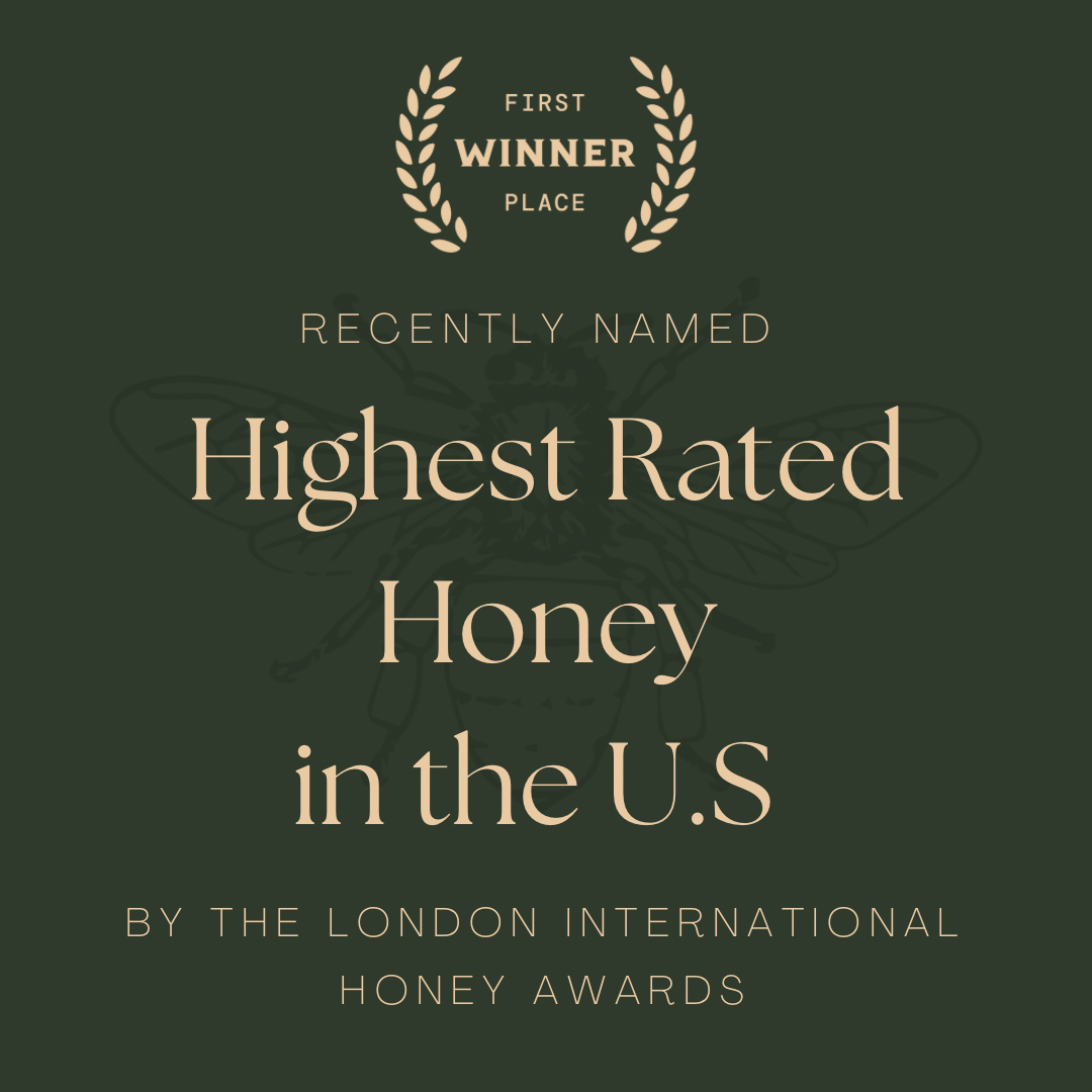 Good Honey - Wholesale Honey - 16oz Montana Clover Retail Jars - Case of 125