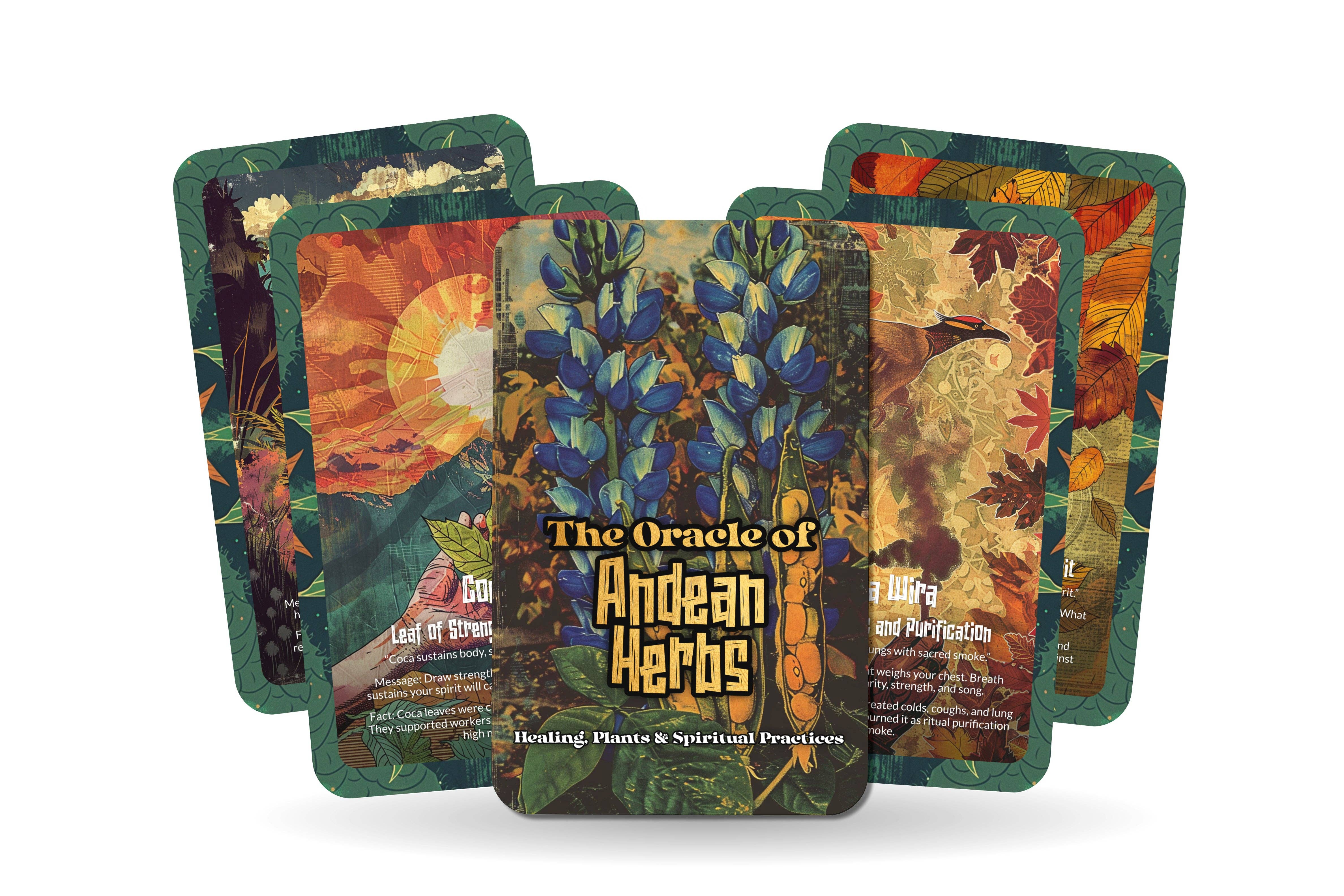 Ibiza Tarot USA - Wholesale Tarot Cards - Andean Herbs Mountain Medicine Oracle Deck – 22 Cards5