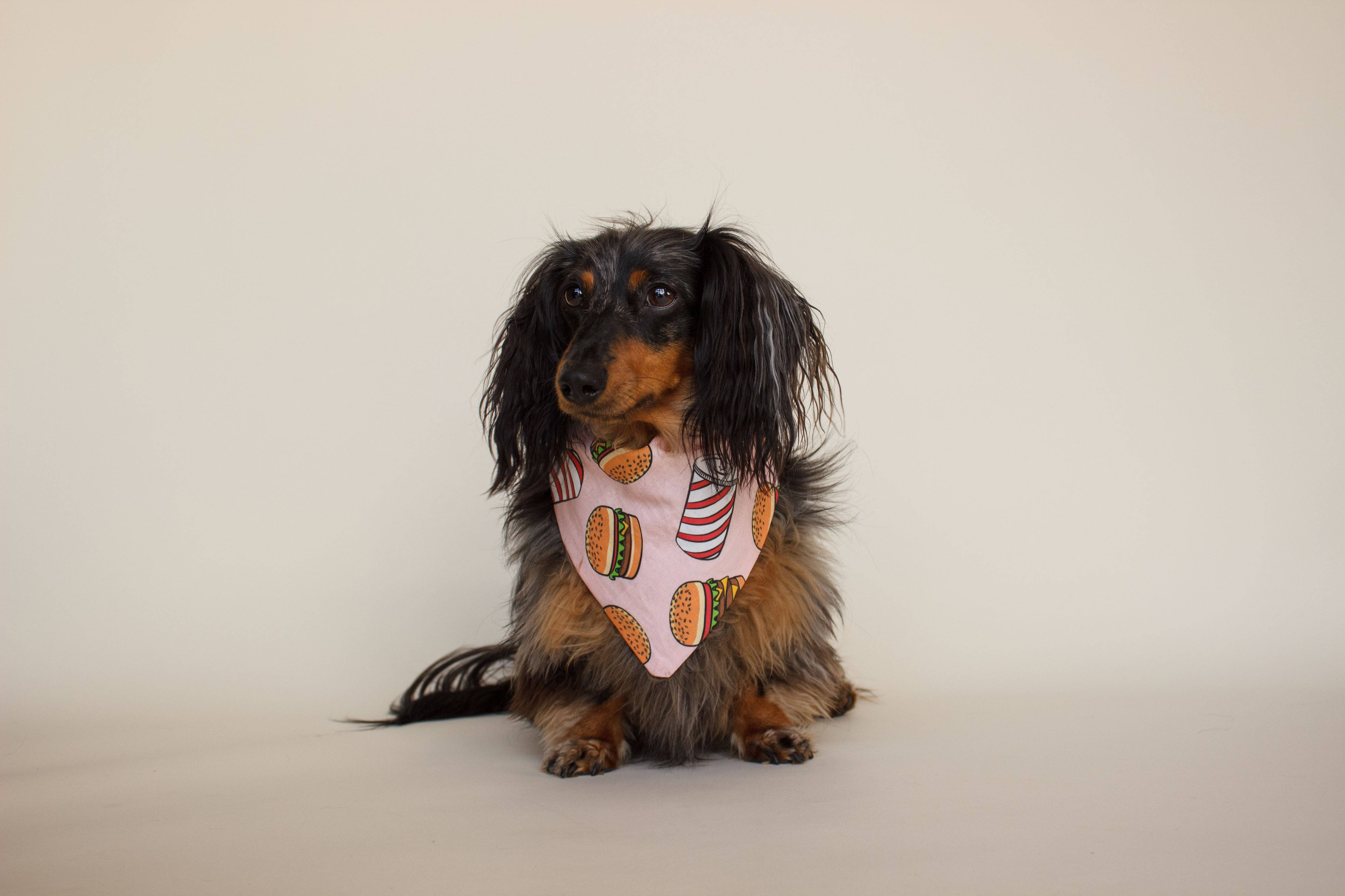 Dapple Dog Designs - Venta al por mayor Bandana - Perros - Bandana para perro con diseño de hamburguesas - Uso diario7