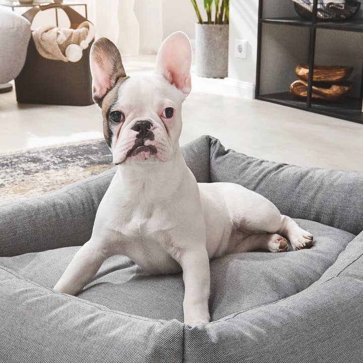 Cuccia classica SMOOTH per la vendita all'ingrosso da parte di LABONI - Volentis GmbH